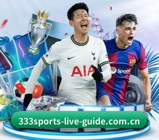 333体育的故事